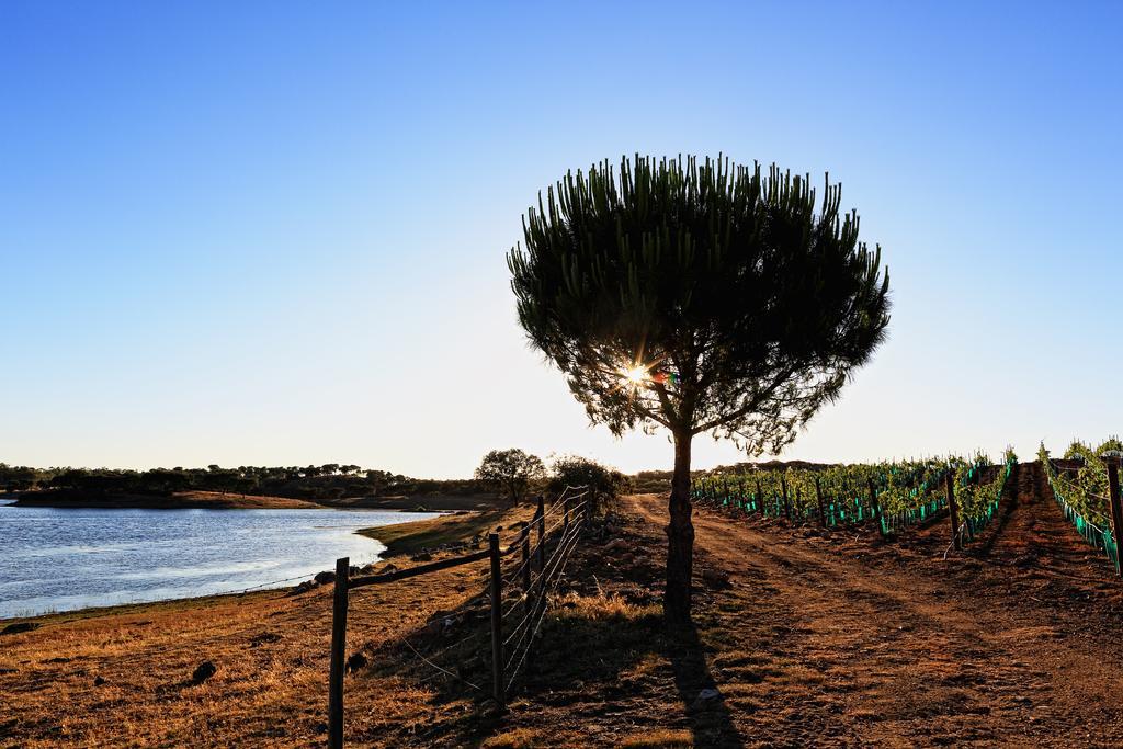 Herdade Da Calada Azaruja Bagian luar foto