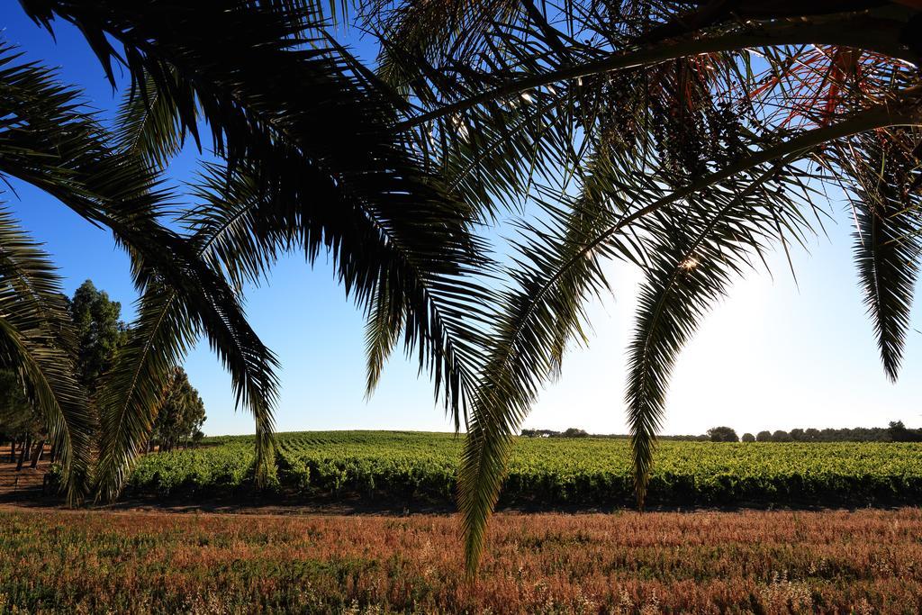 Herdade Da Calada Azaruja Bagian luar foto