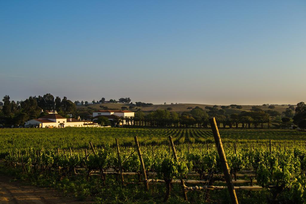 Herdade Da Calada Azaruja Bagian luar foto