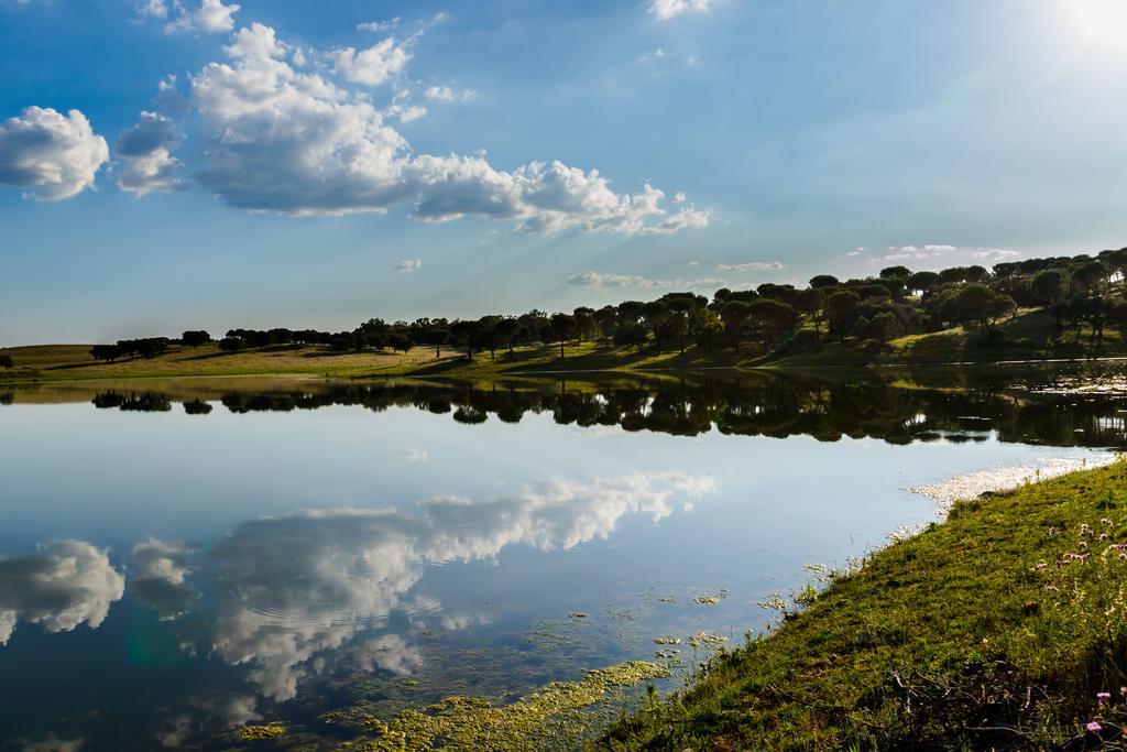 Herdade Da Calada Azaruja Bagian luar foto