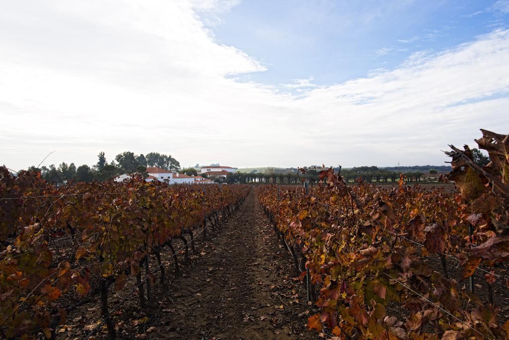 Herdade Da Calada Azaruja Bagian luar foto